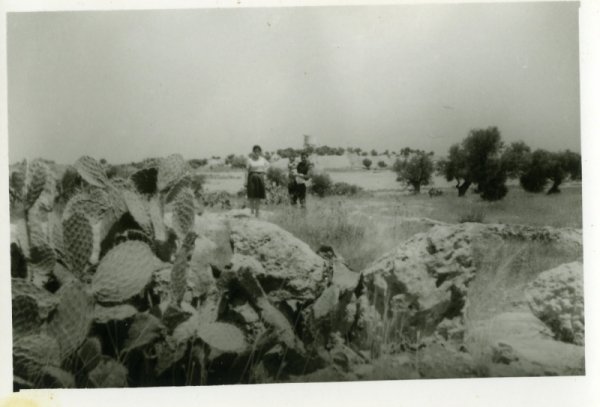 قرية دير طريف