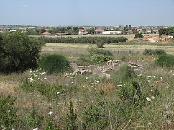 قرية دير طريف