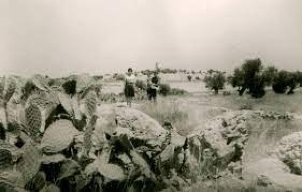 قرية دير طريف