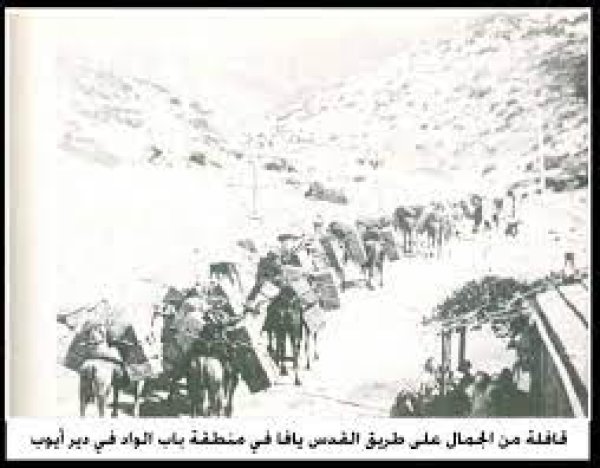 قرية دير أيوب