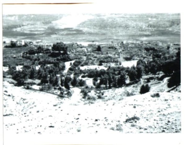 قرية دير أيوب