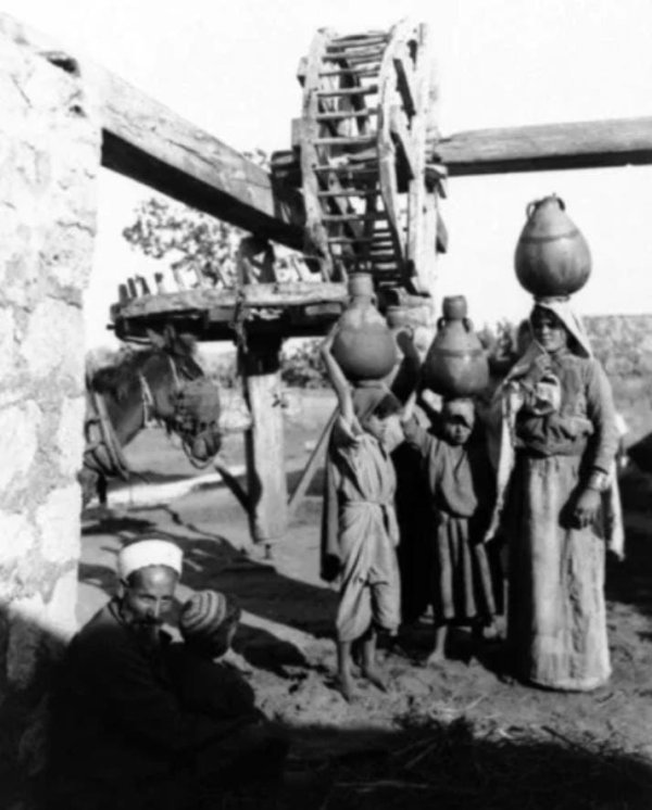 قرية زرنوقا / الرملة