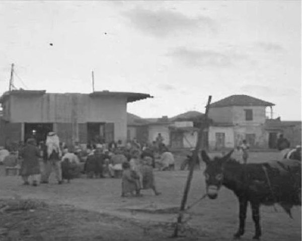 قرية زرنوقا / الرملة