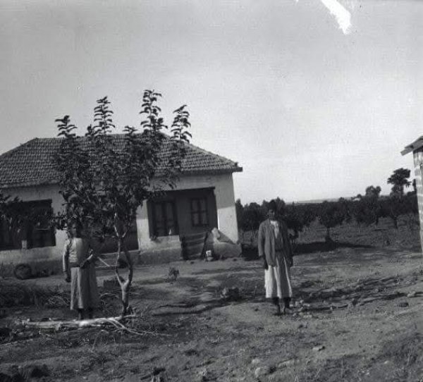 قرية زرنوقا / الرملة