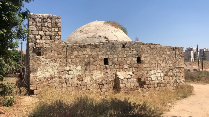 زرنوقة / زرنوقا