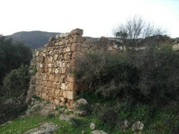  | موسوعة القرى الفلسطينية