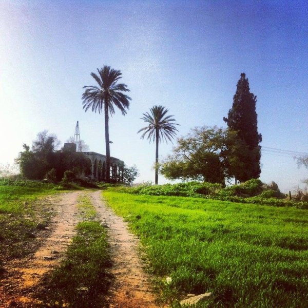  | موسوعة القرى الفلسطينية