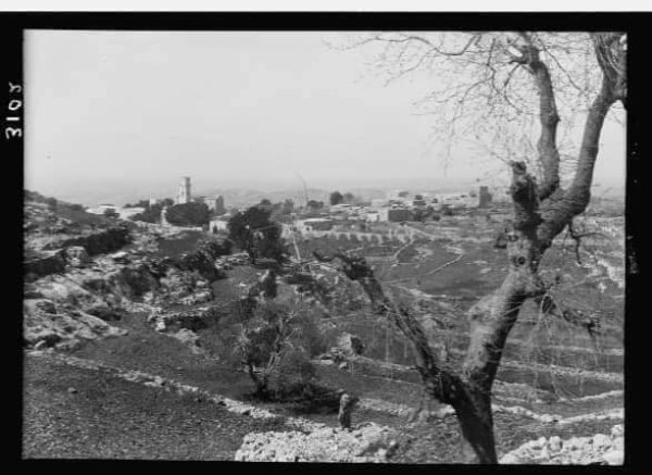  | موسوعة القرى الفلسطينية