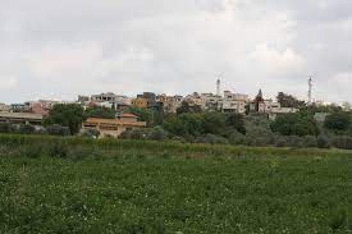 زرزير/الزرازير