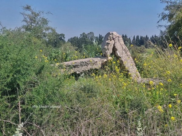  | موسوعة القرى الفلسطينية