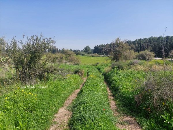  | موسوعة القرى الفلسطينية