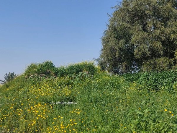  | موسوعة القرى الفلسطينية