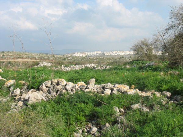  | موسوعة القرى الفلسطينية