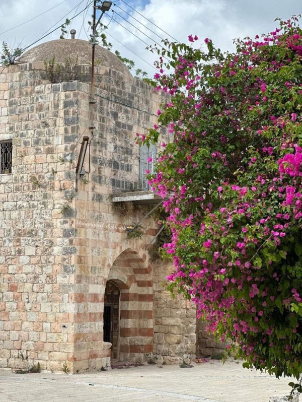  | موسوعة القرى الفلسطينية