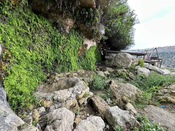  | موسوعة القرى الفلسطينية