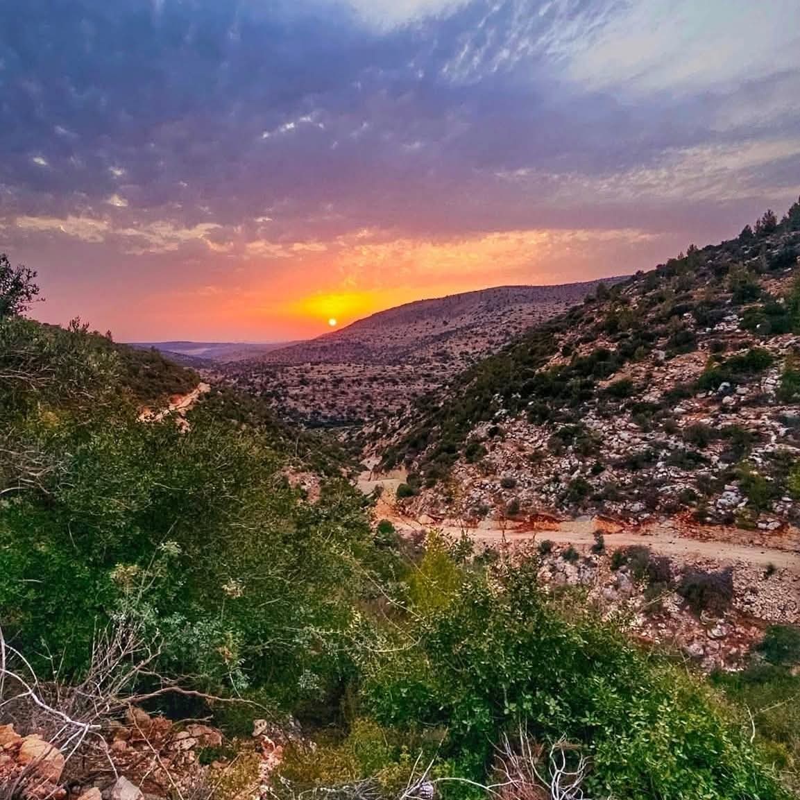  | موسوعة القرى الفلسطينية