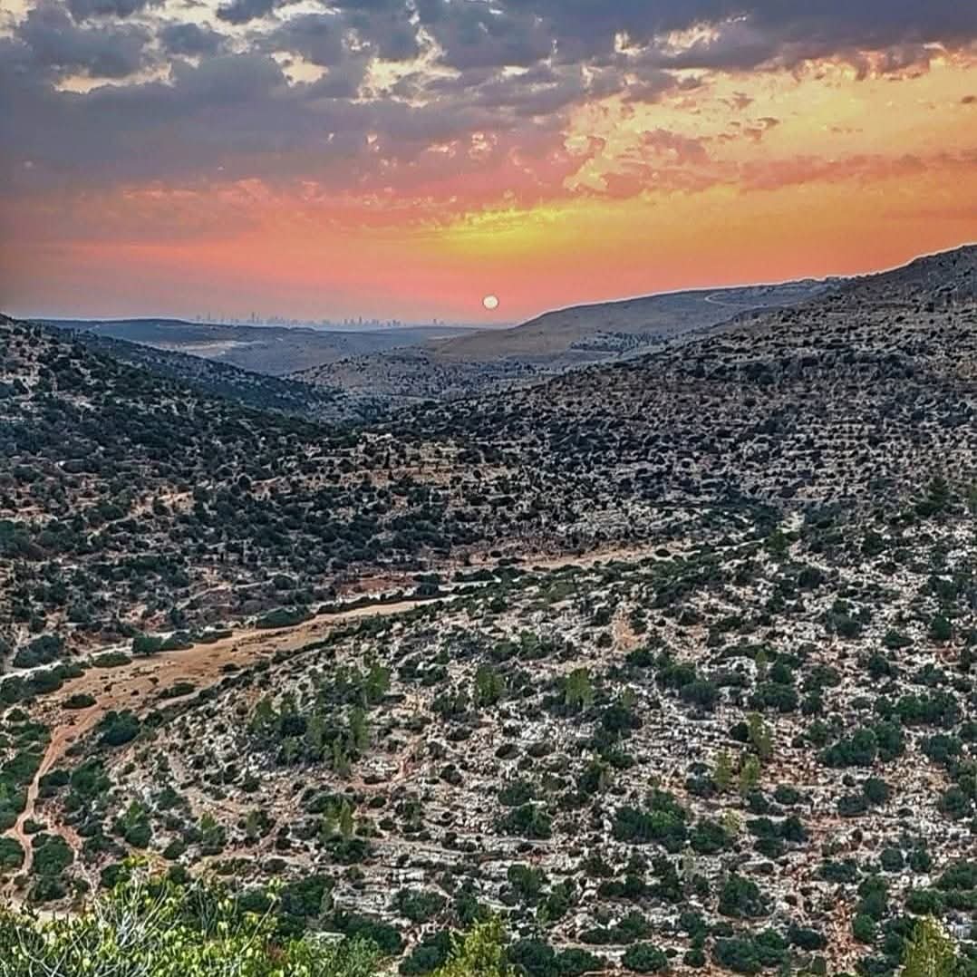  | موسوعة القرى الفلسطينية