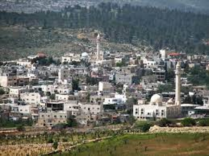 تقوع: من قرى التعامرة  | موسوعة القرى الفلسطينية