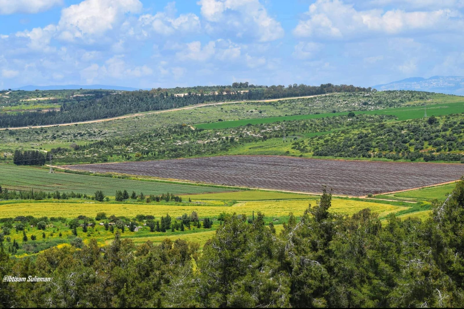 من أراضي قرية لوبيا بعدسة ابتسام سليمان
