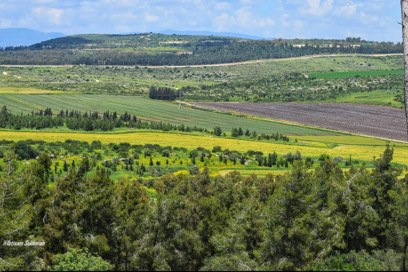 من أراضي قرية لوبيا بعدسة ابتسام سليمان