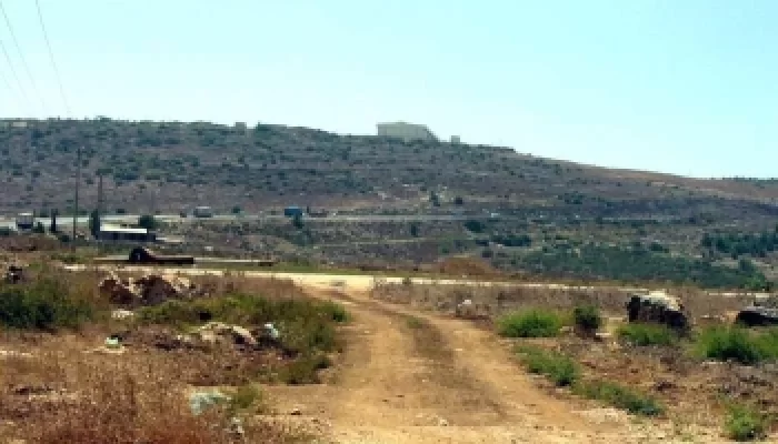 لُوبِيَا/ لُوبِيَة  | موسوعة القرى الفلسطينية