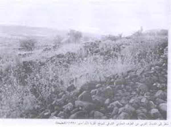 قرية البطيحة