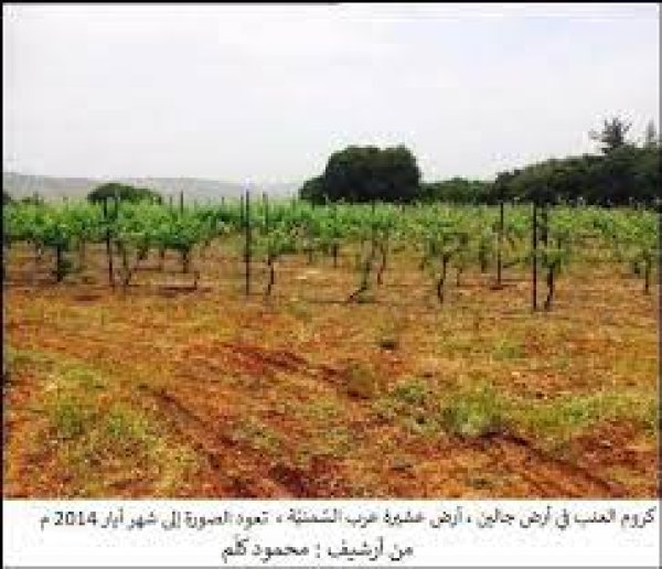 قرية  عرب السمنية