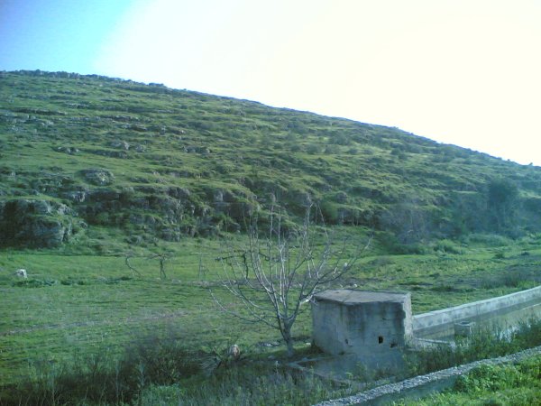  | موسوعة القرى الفلسطينية