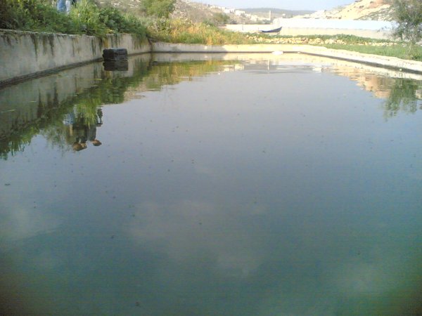  | موسوعة القرى الفلسطينية