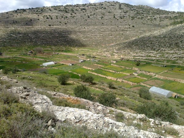  | موسوعة القرى الفلسطينية