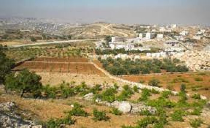 وادي رحال  | موسوعة القرى الفلسطينية