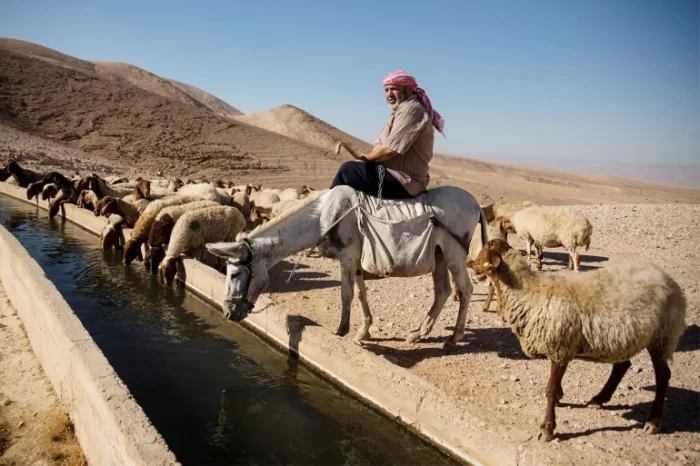 العوجا  | موسوعة القرى الفلسطينية