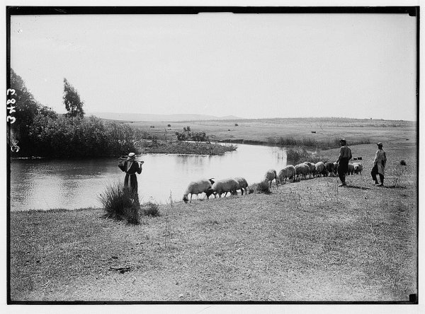 ضفة نهر العوجا/ قرية العوجا