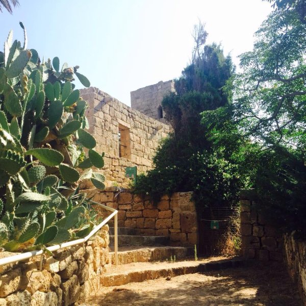 أثار مبنى في قرية الزيب