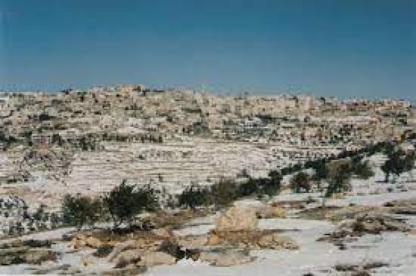 قرية أم طوبا