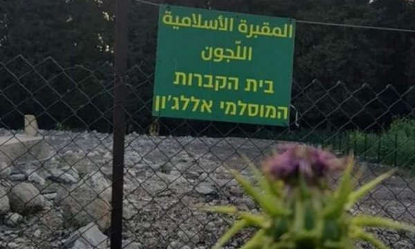 قرية اللجون