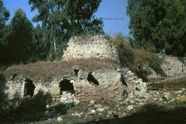 قرية اللجون