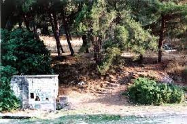 قرية اللجون