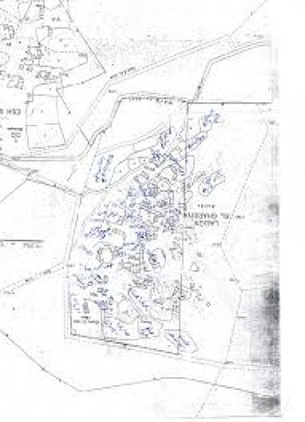 خريطة قرية اللجون