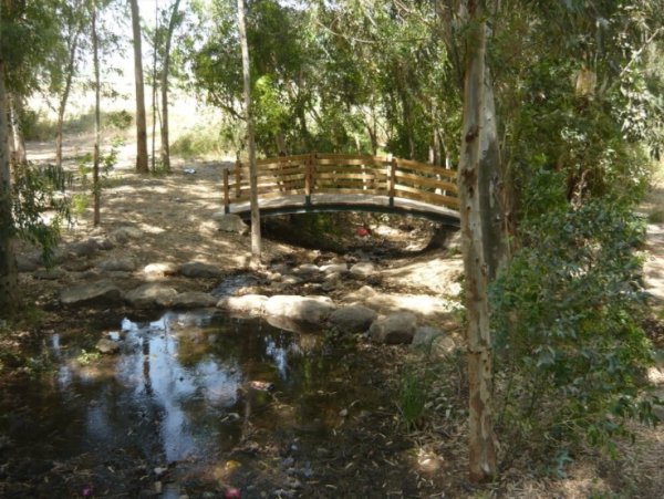 مياه القرية في زرعين