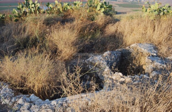 موقع أراضي زرعين