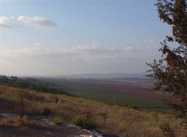 موقع أراضي زرعين