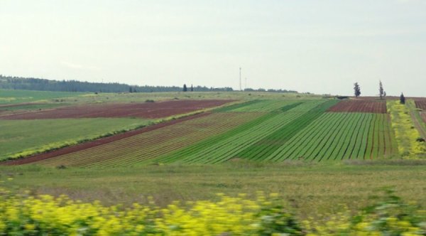 أراضي قرية زرعين