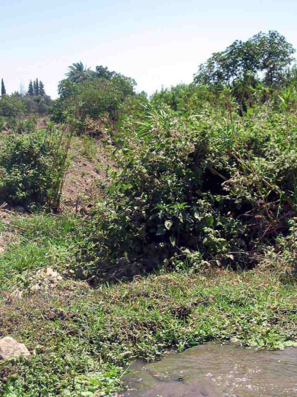  | موسوعة القرى الفلسطينية