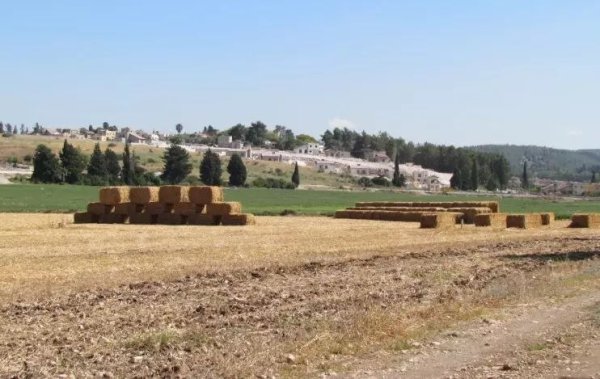  | موسوعة القرى الفلسطينية