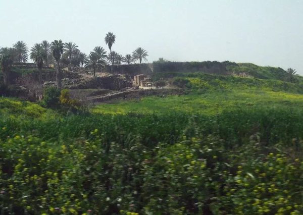  | موسوعة القرى الفلسطينية