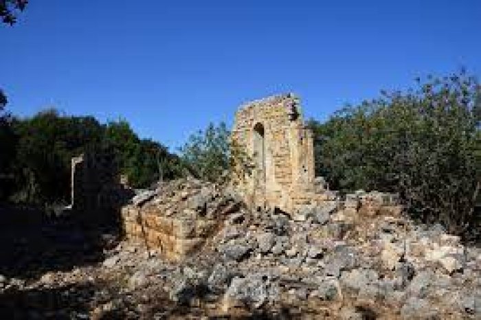 المَنْصُورَة