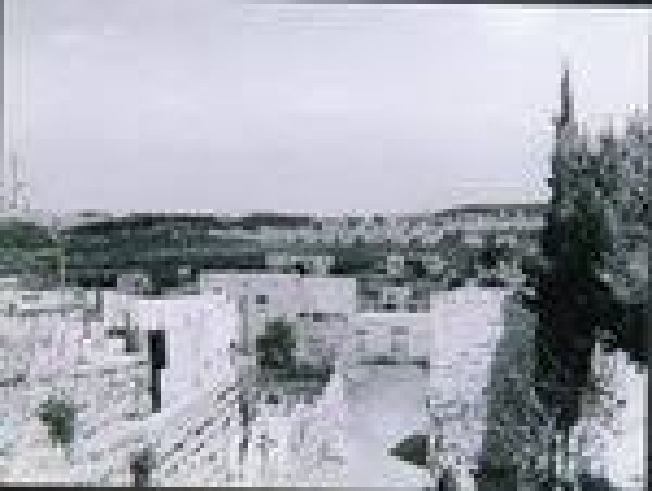  | موسوعة القرى الفلسطينية