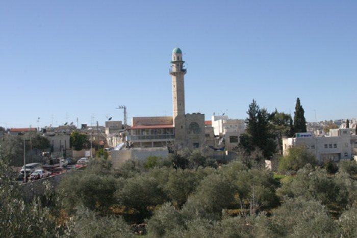 بيت صفافا  | موسوعة القرى الفلسطينية