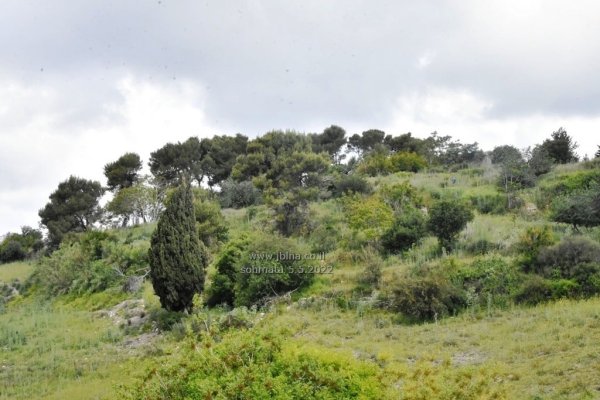 قرية سحماتا